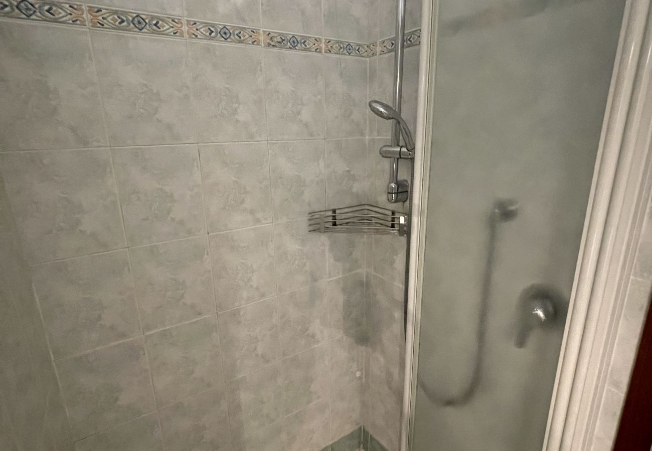 Apartment in Desenzano del Garda - 41- IL VICOLETTO DI DESE