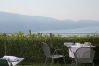 Apartment in Tignale - Piccolo Ragno Typ Garden Apartment in Tignale - Piccolo Ragno Typ Garden