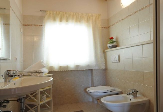 Apartment in Limone sul Garda - Ai Ruck 1 by Garda FeWo Apartment in Limone sul Garda - Ai Ruck 1 by Garda FeWo