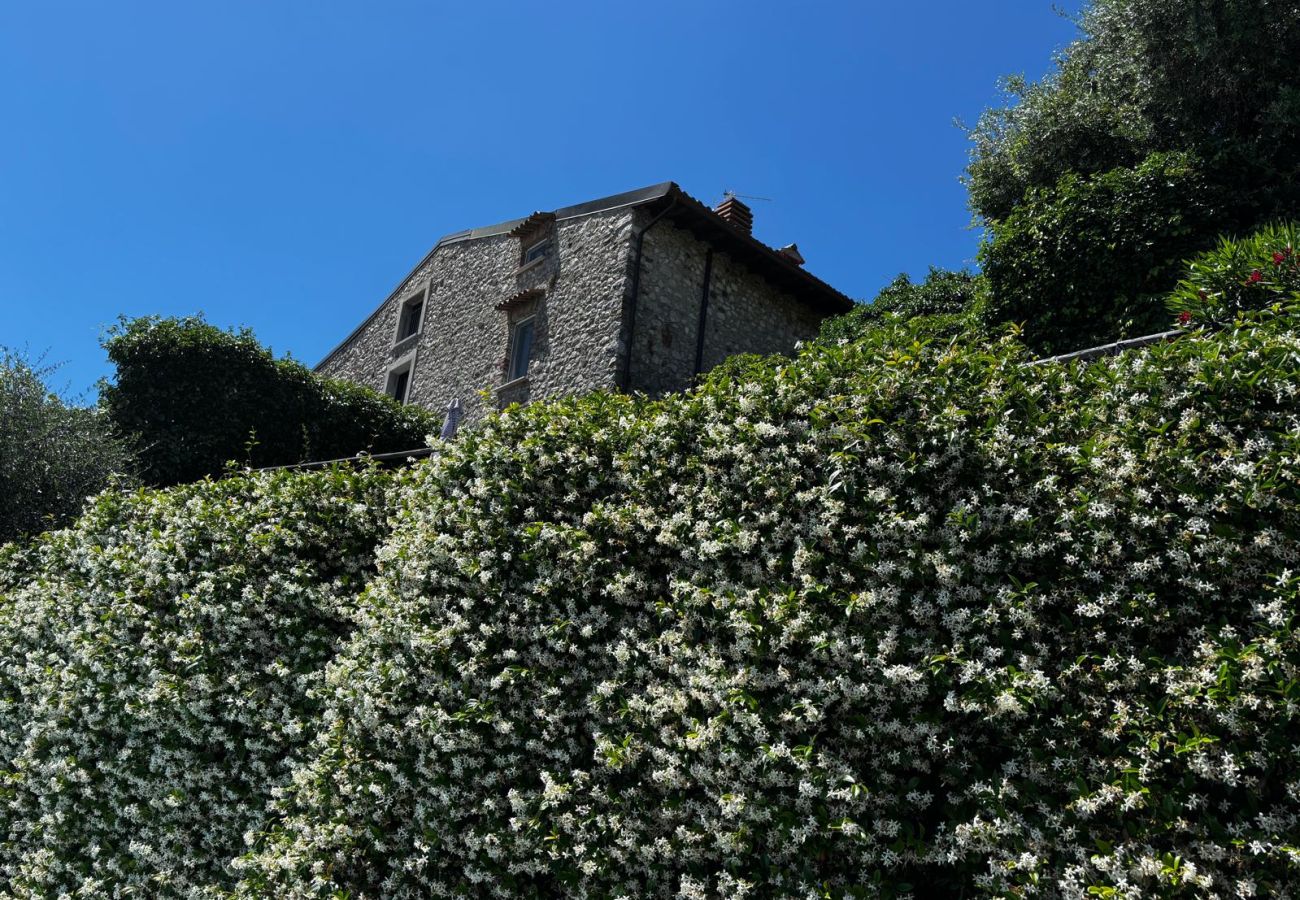 Villa in Soiano del Lago - Rustico Belvedere by Garda FeWo