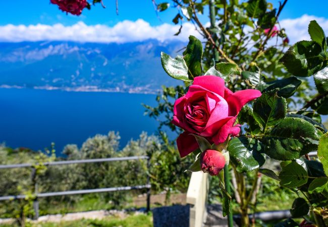 Apartment in Tignale - .melograno by Garda FeWo Apartment in Tignale - .melograno by Garda FeWo