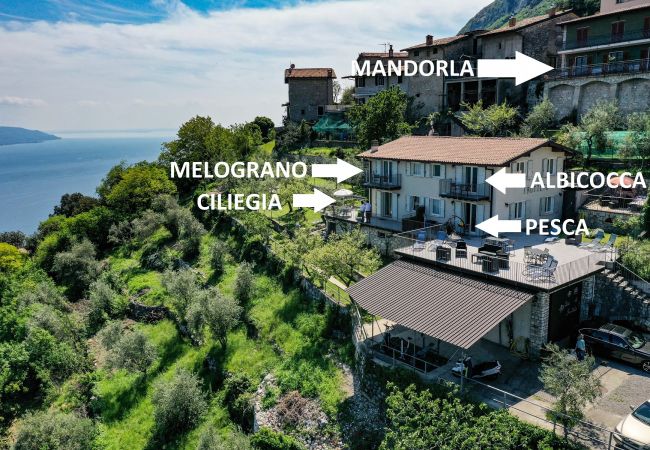 Apartment in Tignale - .melograno by Garda FeWo Apartment in Tignale - .melograno by Garda FeWo