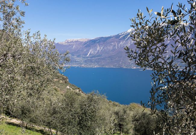 Apartment in Tignale - .melograno by Garda FeWo Apartment in Tignale - .melograno by Garda FeWo