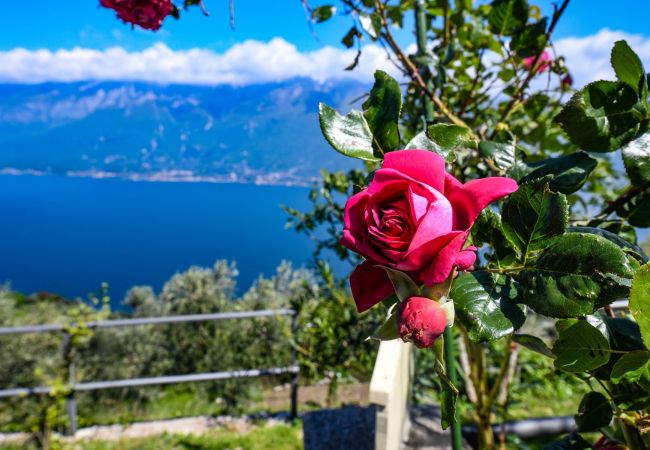 Apartment in Tignale - .Ciliegia by Garda FeWo Apartment in Tignale - .Ciliegia by Garda FeWo