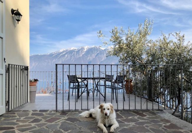 Apartment in Tignale - .Ciliegia by Garda FeWo Apartment in Tignale - .Ciliegia by Garda FeWo