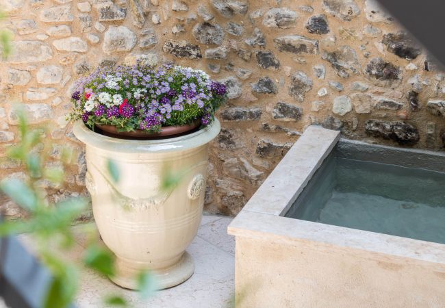Apartment in Tignale - Rustico Minichètto - La Vigna by Garda FeWo Apartment in Tignale - Rustico Minichètto - La Vigna by Garda FeWo