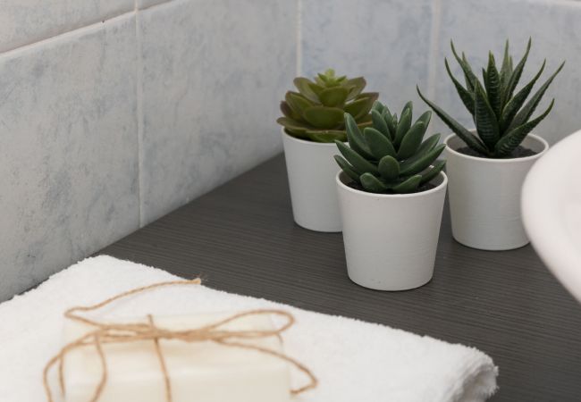 Apartment in Manerba del Garda - Il Professore Lakefront by Garda FeWo Apartment in Manerba del Garda - Il Professore Lakefront by Garda FeWo