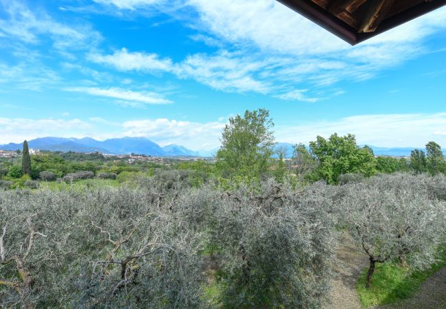 Farm stay in Polpenazze del Garda - Agriturismo Sentieri del Vino - Lago Lucone Farm stay in Polpenazze del Garda - Agriturismo Sentieri del Vino - Lago Lucone