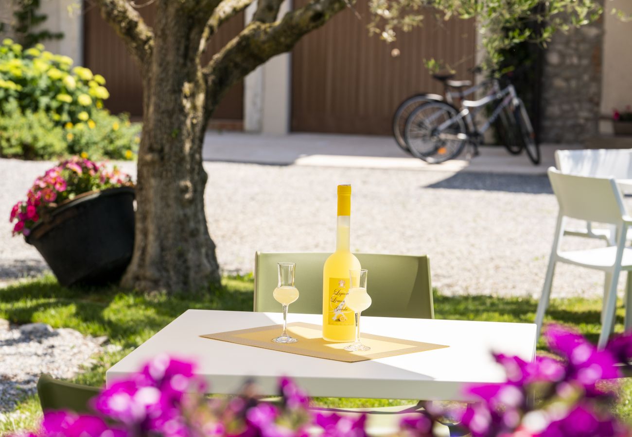 Apartment in San Felice del Benaco - Palazzo Trevignane - La Grande Scuderia