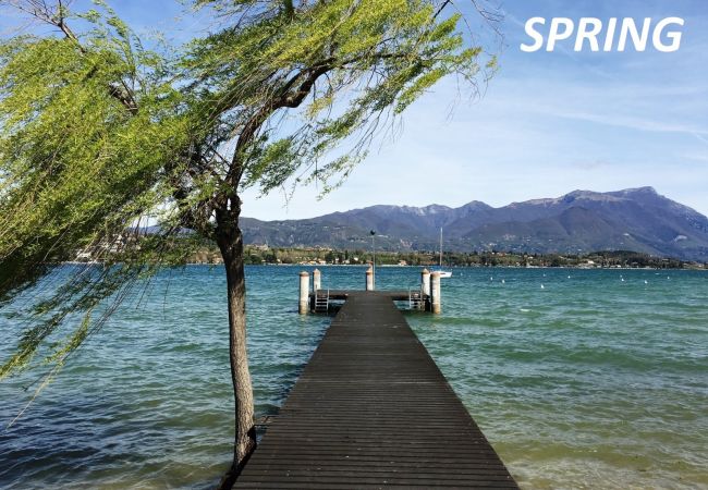 Appartamento a Manerba del Garda - Il Sogno del Lago by Garda FeWo Appartamento a Manerba del Garda - Il Sogno del Lago by Garda FeWo