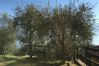 Appartamento a Limone sul Garda - Ai Ruck 1 by Garda FeWo Appartamento a Limone sul Garda - Ai Ruck 1 by Garda FeWo