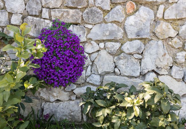 Appartamento a Tignale - .melograno by Garda FeWo Appartamento a Tignale - .melograno by Garda FeWo