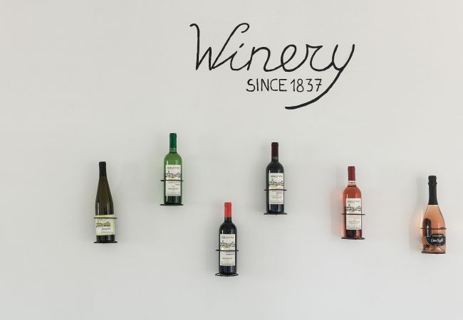 Agriturismo a Polpenazze del Garda - Agriturismo Sentieri del Vino - Il Ciliegio Agriturismo a Polpenazze del Garda - Agriturismo Sentieri del Vino - Il Ciliegio