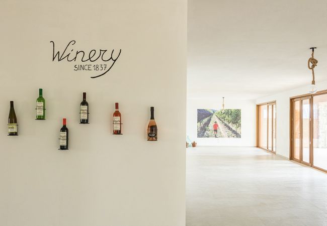 Agriturismo a Polpenazze del Garda - Agriturismo Sentieri del Vino - Il Ciliegio Agriturismo a Polpenazze del Garda - Agriturismo Sentieri del Vino - Il Ciliegio