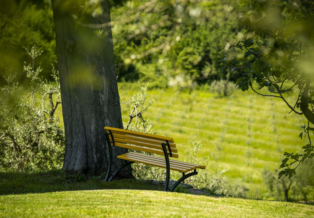 Appartamento a San Felice del Benaco - Palazzo Trevignane - La Saletta Verde