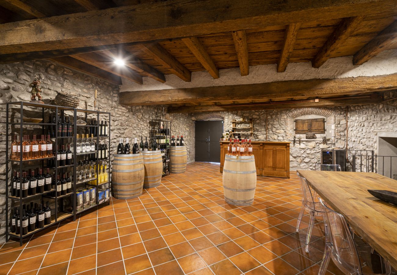 Appartamento a San Felice del Benaco - Palazzo Trevignane - La Saletta Verde