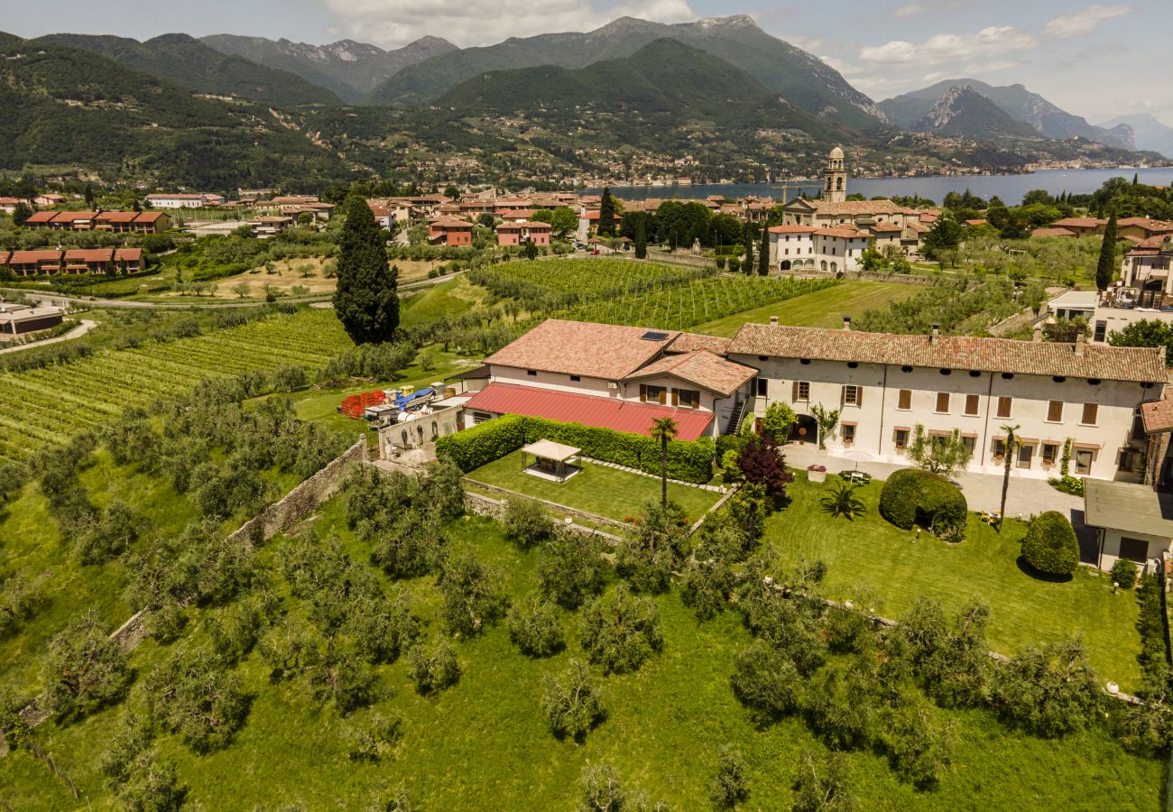 Appartamento a San Felice del Benaco - Palazzo Trevignane - La Saletta Verde