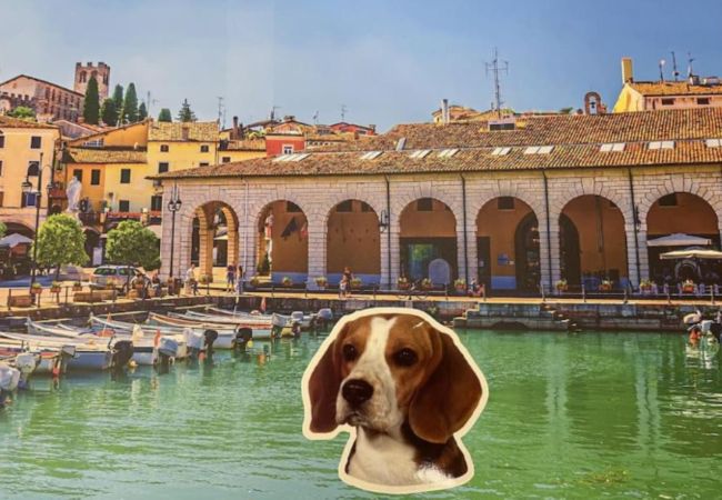 Ferienwohnung in Desenzano del Garda - 001 - LET IT BE A DREAM - RENOVATION 2025 Ferienwohnung in Desenzano del Garda - 001 - LET IT BE A DREAM - RENOVATION 2025