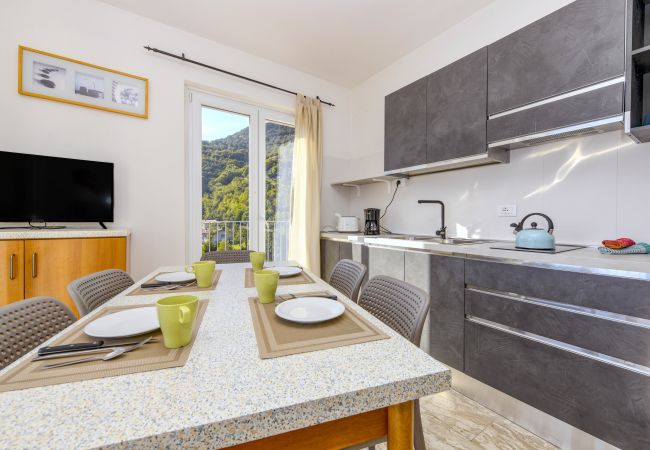 Ferienwohnung in Tignale - Piccolo Ragno 10 Balcony Ferienwohnung in Tignale - Piccolo Ragno 10 Balcony