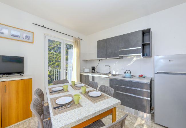 Ferienwohnung in Tignale - Piccolo Ragno 10 Balcony Ferienwohnung in Tignale - Piccolo Ragno 10 Balcony