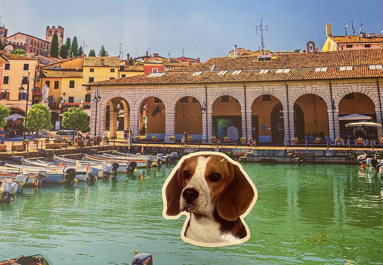 Ferienwohnung in Desenzano del Garda - 61- GREEN LAKE STAR DOWNTOWN