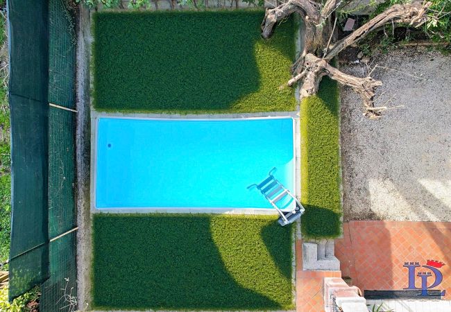 Villa in Desenzano del Garda - 68 - PALM GARDA BEACH Villa in Desenzano del Garda - 68 - PALM GARDA BEACH