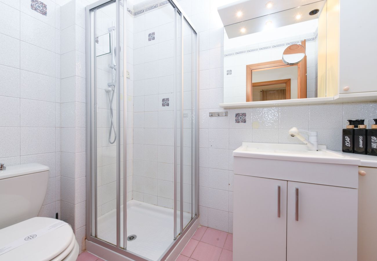 Ferienwohnung in Desenzano del Garda - 28-Desenzanoloft : CHARMING ON THE LAKE