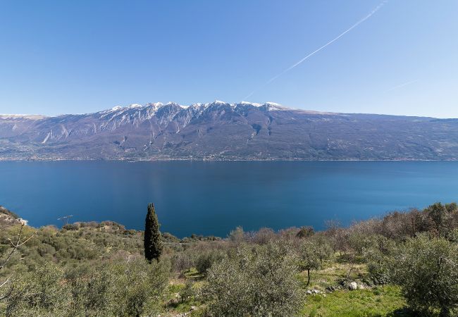 Ferienwohnung in Tignale - .Glicine