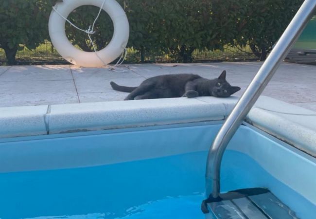 Ferienwohnung in Desenzano del Garda - 38 - DesenzanoLoft Olimpia Ferienwohnung in Desenzano del Garda - 38 - DesenzanoLoft Olimpia