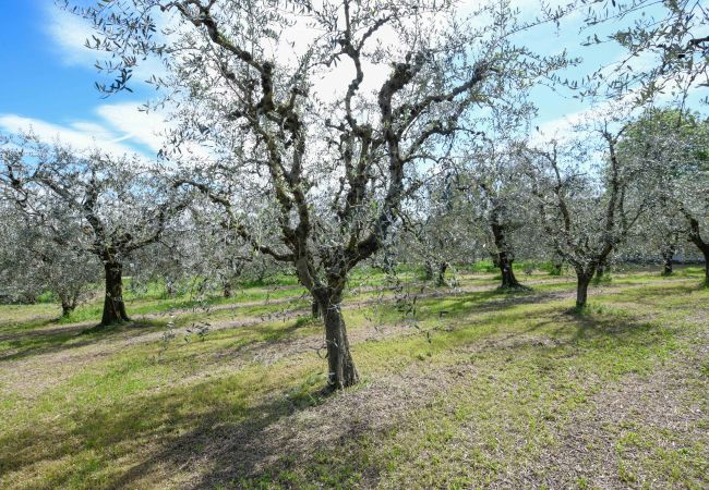 Agrotourismus in Polpenazze del Garda - Agriturismo Sentieri del Vino - Lago Lucone