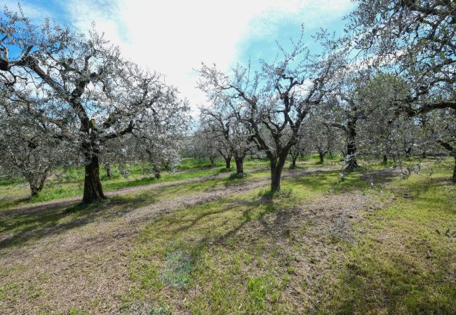 Agrotourismus in Polpenazze del Garda - Agriturismo Sentieri del Vino - Lago Lucone